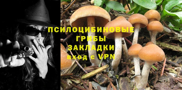 PSILOCYBIN Горно-Алтайск